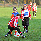 2012-11-17 10.19.23 DSC_2741